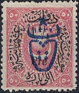 Colnect-417-591-overprint-on-postage-stamps-1876---1882.jpg