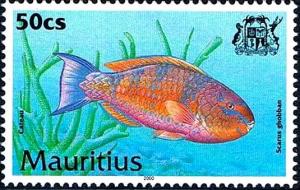 Colnect-2233-290-Blue-barred-Parrotfish-Scarus-ghobban.jpg