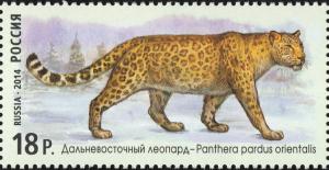 Colnect-2345-431-Amur-Leopard-Panthera-pardus-orientalis.jpg