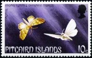 Colnect-3477-041-Pitcairn-moths.jpg