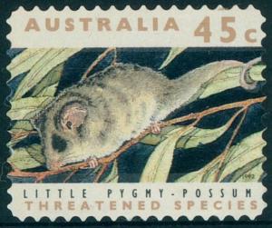 Colnect-3531-442-Little-Pygmy-Possum-Cercartetus-lepidus.jpg