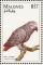 Colnect-1631-939-African-Grey-Parrot-Psittacus-erithacus.jpg