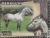 Colnect-6317-356-Horse-Breeds-of-Paraguay-Equus-ferus-caballos.jpg