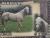 Colnect-6317-357-Horse-Breeds-of-Paraguay-Equus-ferus-caballos.jpg