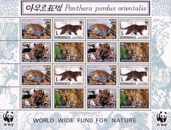 Colnect-1614-839-Amur-Leopard-Panthera-pardus-orientalis.jpg
