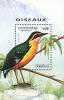 Colnect-1526-987-African-Pitta-Pitta-angolensis.jpg