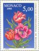 Colnect-149-737-Parrot-tulips.jpg