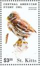 Colnect-3742-860-Central-American-Pygmy-Owl-Glaucidium-griseiceps.jpg