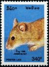Colnect-2790-092-Rat-Rattus-sp.jpg