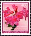 Colnect-5263-578-Hairy-Alpine-rose-Rhododendron-hirsutum.jpg