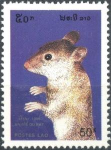Colnect-2790-091-Rat-Rattus-sp.jpg