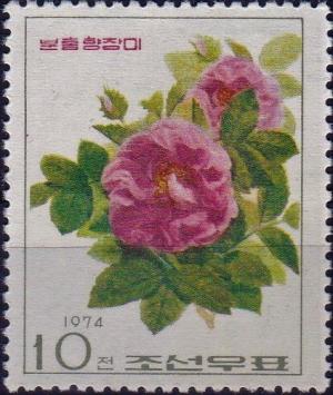 Colnect-3865-925-Rose-varieties.jpg