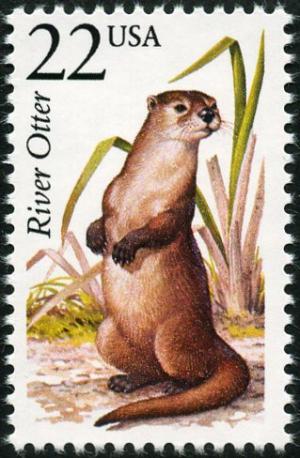 Colnect-5026-784-North-American-River-Otter-Lontra-canadensis.jpg