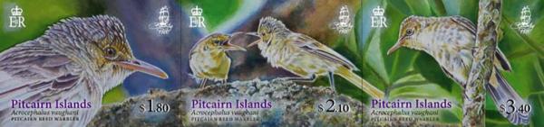 Colnect-5895-696-Pitcairn-Islands%E2%80%99-Reed-Warbler-Acrocephalus-vaughani.jpg