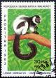 Colnect-2325-904-Black-and-white-Ruffed-Lemur-Varecia-variegata.jpg
