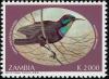 Colnect-1502-684-Green-throated-Sunbird-Chalcomitra-rubescens.jpg