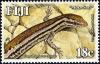 Colnect-1613-816-Pygmy-Snake-eyed-Skink-Cryptoblepharus-eximius-.jpg
