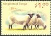 Colnect-2373-391-Domestic-Sheep-Ovis-ammon-aries.jpg