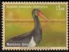 Colnect-2544-061-Black-Stork-Ciconia-nigra.jpg