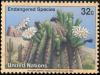 Colnect-2561-083-Saguaro-cactus.jpg