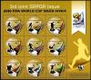 Colnect-2856-946-2010-FIFA-World-Cup-South-Africa-M-S-SAPOA-joint-issue.jpg