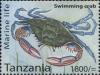Colnect-3055-698-Swimming-crab.jpg
