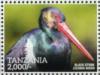 Colnect-3056-880-Black-Stork-Ciconia-nigra.jpg