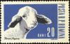 Colnect-4417-909-Domestic-Sheep-Ovis-ammon-aries.jpg