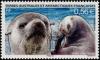 Colnect-889-515-Subantarctic-Fur-Seal-Arctocephalus-tropicalis.jpg
