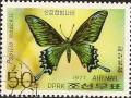 Colnect-1107-909-Alpine-Black-Swallowtail-Papilio-maackii.jpg