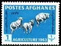 Colnect-1444-684-Karakul-Sheep-Ovis-ammon-aries.jpg