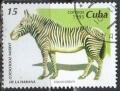 Colnect-1451-379-Grevy--s-Zebra-Equus-grevyi.jpg