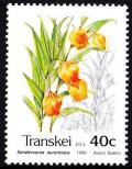Colnect-2986-303-Flowers-Sandersonia-aurantiaca.jpg