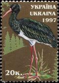 Colnect-4774-123-Black-Stork-Ciconia-nigra.jpg