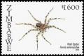Colnect-5404-861-Wall-Spider-Selenops-sp-.jpg