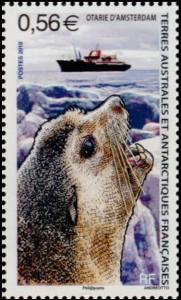 Colnect-889-512-Subantarctic-Fur-Seal-Arctocephalus-tropicalis.jpg