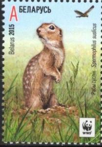Colnect-2861-522-Speckled-Ground-Squirrel-Spermophilus-suslicus.jpg