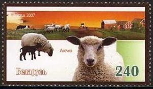 Colnect-1010-700-Domestic-Sheep-Ovis-ammon-aries.jpg