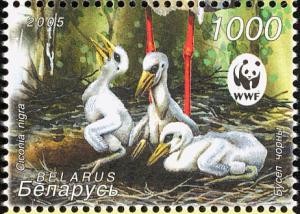 Colnect-1059-056-Black-Stork-Ciconia-nigra.jpg