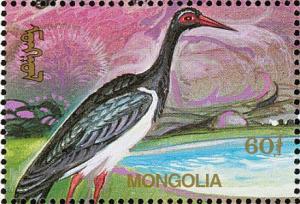 Colnect-1271-340-Black-Stork-Ciconia-nigra.jpg