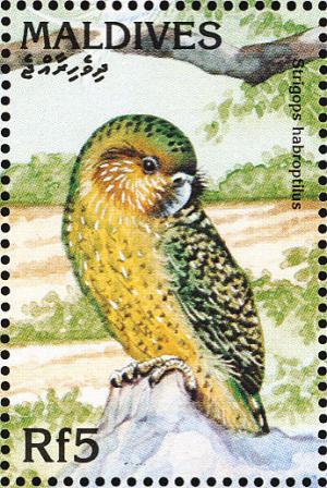 Colnect-1631-955-Kakapo-Strigops-habroptilus.jpg