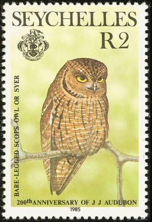 Colnect-1721-641-Seychelles-Scops-Owl%C2%A0Otus-insularis.jpg