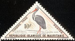 Colnect-1916-847-Black-Stork-Ciconia-nigra.jpg