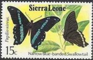 Colnect-2559-797-Green-banded-Swallowtail-Papilio-nireus.jpg