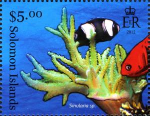 Colnect-2576-862-Finger-Leather-Coral-Sinularia-sp-Sebae-Clownfish-Amphi.jpg