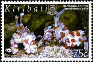 Colnect-2604-302-Harlequin-Shrimp-Hymenocera-picta.jpg