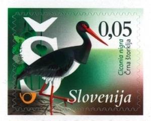 Colnect-2694-611-Birds-of-Slovenia---Black-stork.jpg