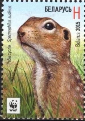 Colnect-2861-525-Speckled-Ground-Squirrel-Spermophilus-suslicus.jpg