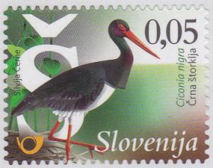 Colnect-3011-521-Black-stork-Ciconia-nigra.jpg