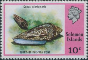Colnect-3961-466-Glory-of-the-Sea-Cone-Conus-gloriamaris.jpg